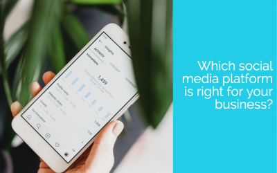 Which social media platform is right for your business?