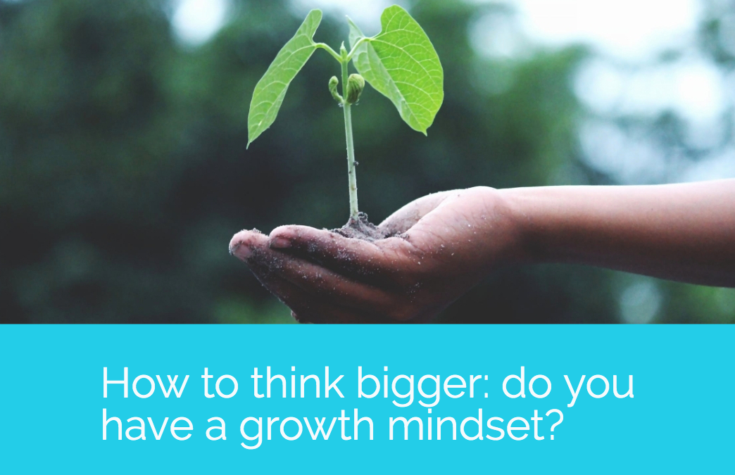 How to think bigger: do you have a growth mindset?