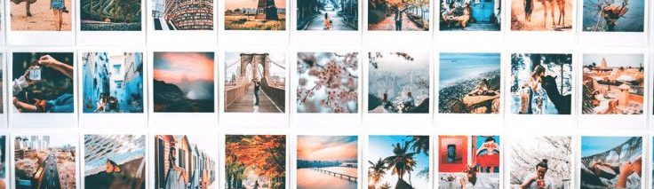 missing alt tags on images